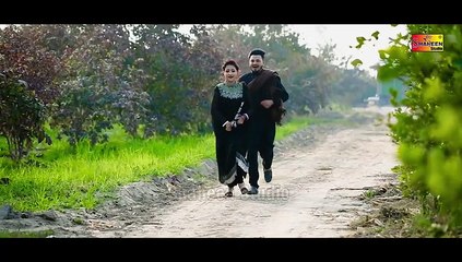 Hik Dien Hosi Mera Dawa Hai - Mohsin Ali Malangi - Shaheen Studio - Official Video