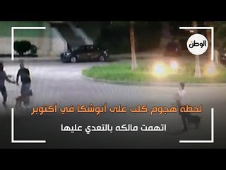 لحظة هجوم كلب على أنوشكا في أكتوبر: اتهمت مالكه بالتعدي عليها