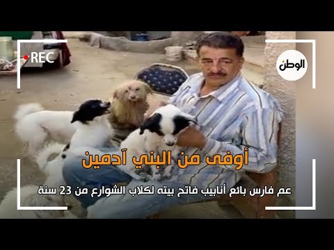 عم فارس بائع أنابيب فاتح بيته لكلاب الشوارع من 23 سنة.. أوفى من البني آدمين
