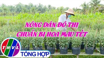 Văn minh đô thị: Nông dân đô thị chuẩn bị hoa màu Tết
