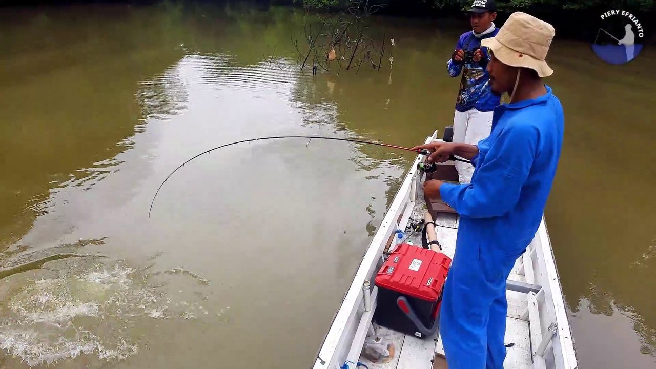 Mancing Di Sungai Buaya Riska Dapat Ikan Kakap Putih Besar