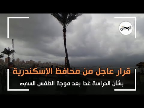 قرار عاجل من محافظ الإسكندرية بشأن الدراسة غدا بعد موجة الطقس السيء