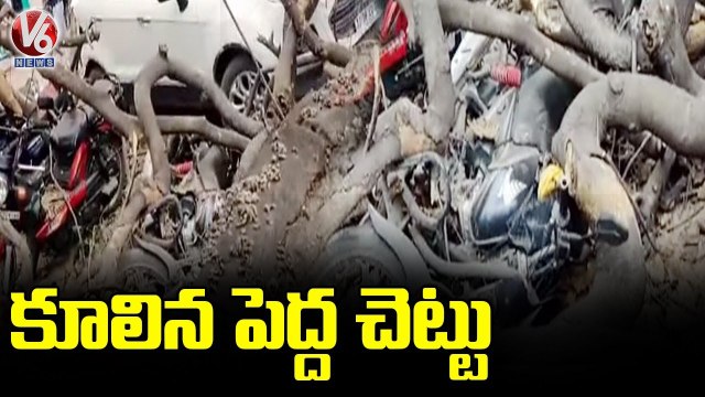 నుమాయిష్ ఎంట్రన్స్ దగ్గర కూలిన భారీ వృక్షం.. Huge Tree Fallen At Numaish Exhibition _ V6 News