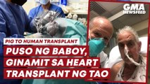 Puso ng baboy, ginamit sa heart transplant ng tao | GMA News Feed