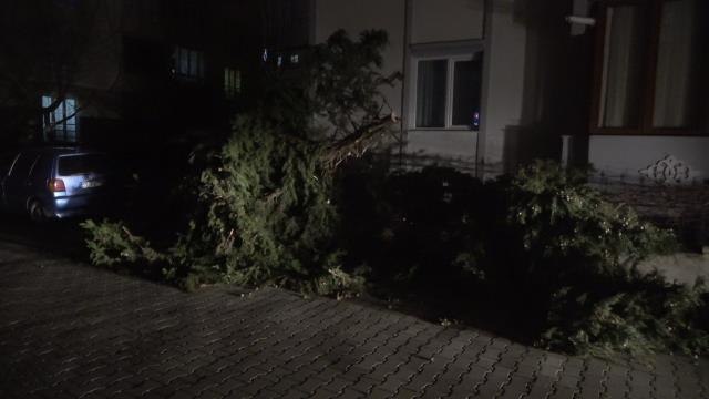 Kırklareli felaketi yaşıyor: Çatılar uçtu, dükkanların camları patladı, ağaçlar devrildi