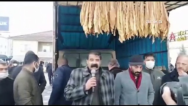 Tütün üreticileri Malatya'da eylem yaptı: Üç dört tane kapitalist hortumcuya bizi peşkeş çekmek istiyorlar