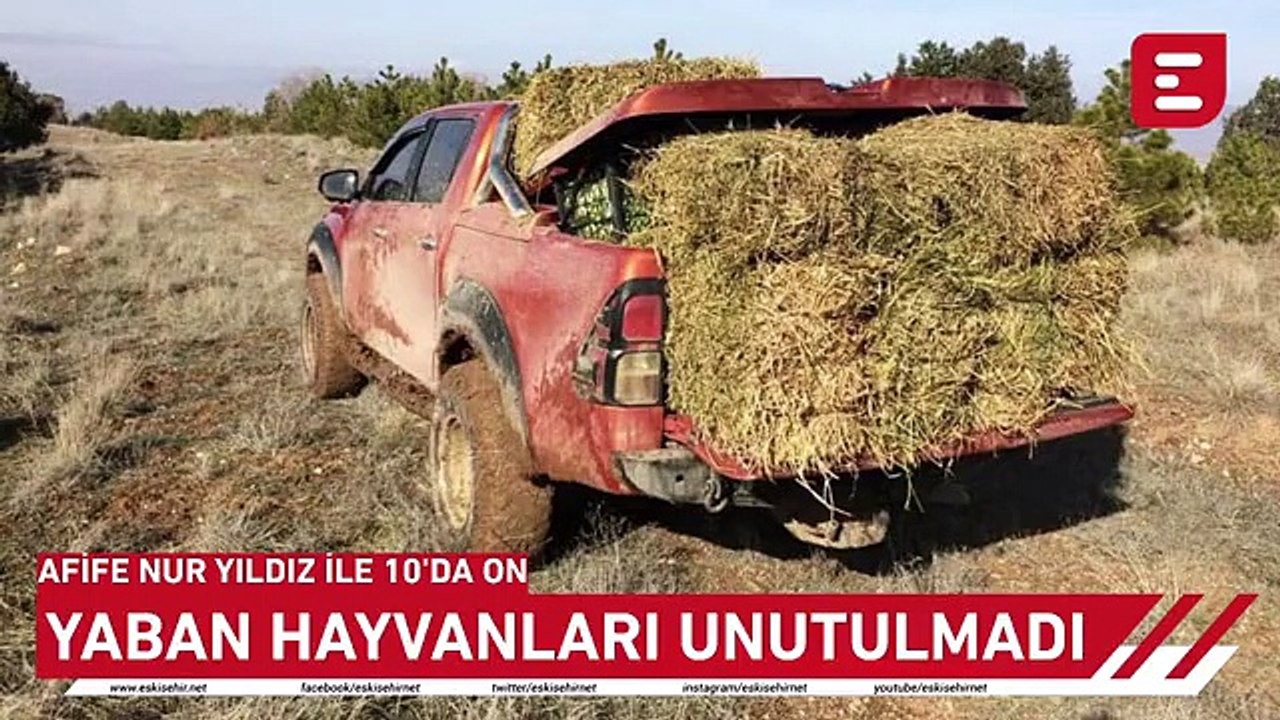 Afife Nur Yıldız İle 10'da On - Eskişehir'de hava soğuyor