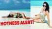 Sunny Leone oozes oomph in sultry bikini