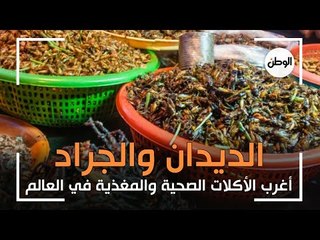 الديدان والجراد.. أغرب الأكلات الصحية والمغذية في العالم
