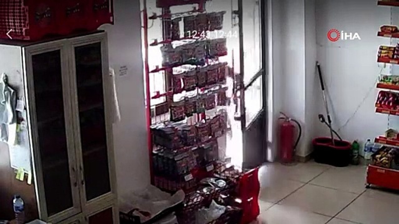 Sokak köpekleri minik çocuğa kabusu yaşattı