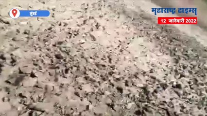 अमरावतीच्या जामडोल व धानोरा कोकाटे परिसरात बिबट्याची दहशत