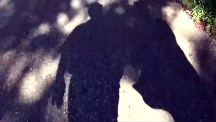 Rêvé pour  l'hiver