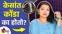 केसांत कोंडा का होतो? | What Causes Dandruff | How to Treat Dandruff At Home | Dandruff Treatment