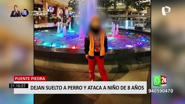 Puente Piedra: vecinos piden sacrificar a perro que dejó grave a niño tras morder sus genitales
