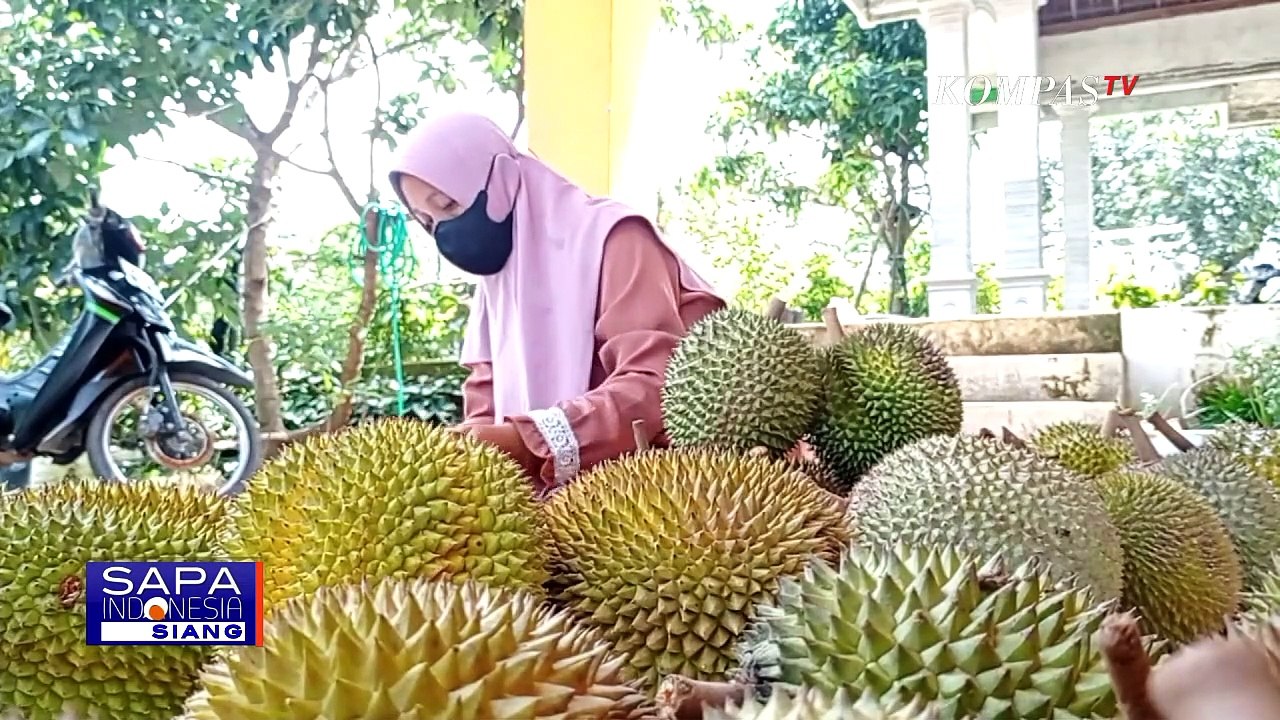 Dikenal Sebagai Penghasil Durian, Desa Segulung Punya Durian Kawuk dengan Cita Rasa yang Unik!
