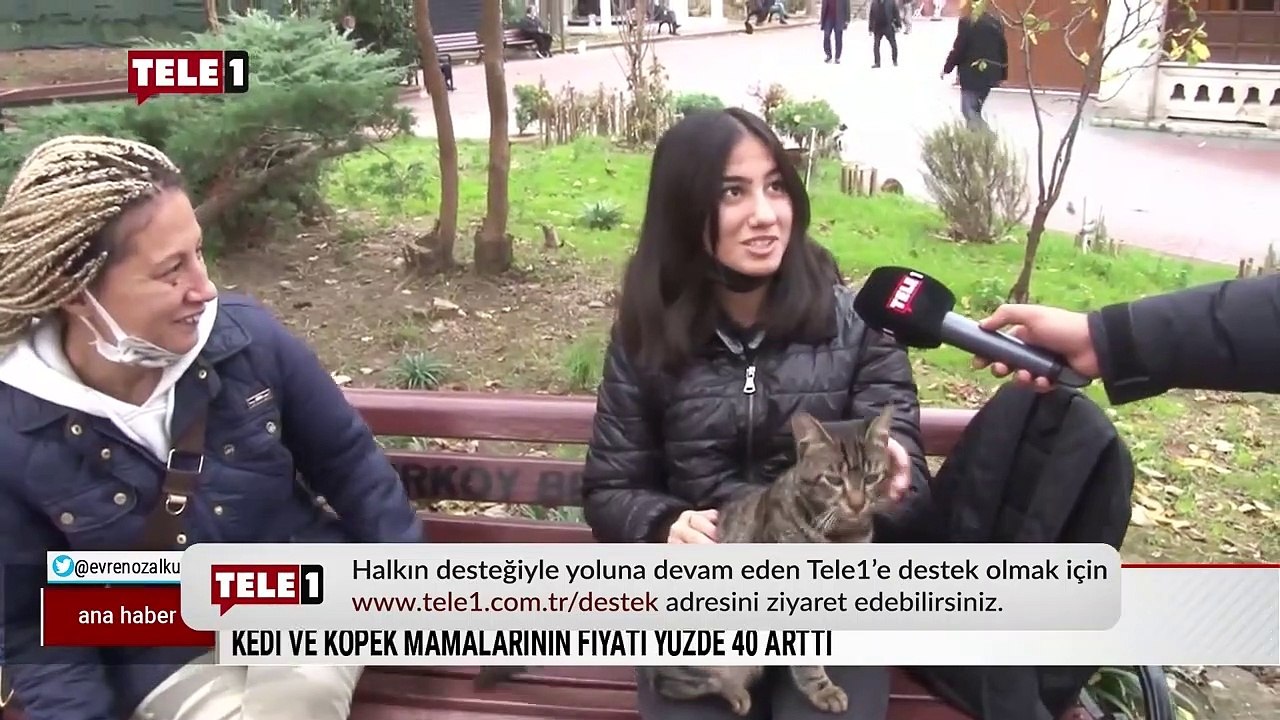Kedi ve köpek mamalarına yapılan zamlara, hayvanseverler isyan etti!