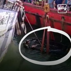 Watch: How This Autorickshaw Pulled Up From River