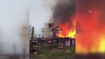 Son dakika haberi! KASTAMONU - 2 ev ile ahırda çıkan yangına müdahale ediliyor