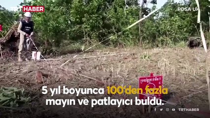 Ödüllü mayın avcısı keseli sıçan Magawa öldü