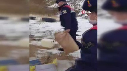 Jandarma ekipleri yaralı yavru köpeğe sahip çıktı