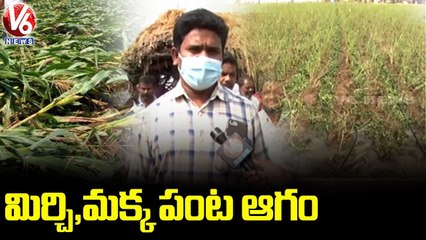 Warangal Collector Gopi Speaks On Unseasonal Rainfall _ V6 News