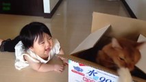 Funny Babies Laughing at Cats Compilation