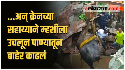 पाण्याच्या टाकीत चक्क म्हैस पडली आणि प्रशासनाची झाली धावपळ