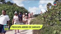 Preocupa anticipado arribo de sargazo a playas de Quintana Roo