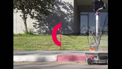 Les poissons rouges capables de conduire un véhicule ?