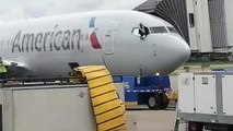 Kokpiti basan yolcu uçak camından atlamaya çalıştı