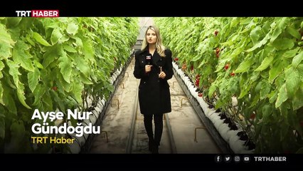 Geri dönüşüm tesisinde atıklar elektriğe dönüşüyor