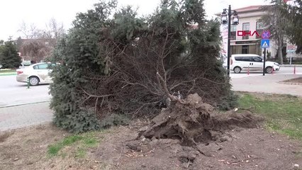 KIRKLARELİ'DE FIRTINANIN VERDİĞİ HASARIN TESPİTİNE BAŞLANDI