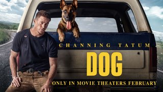 Dog Trailer