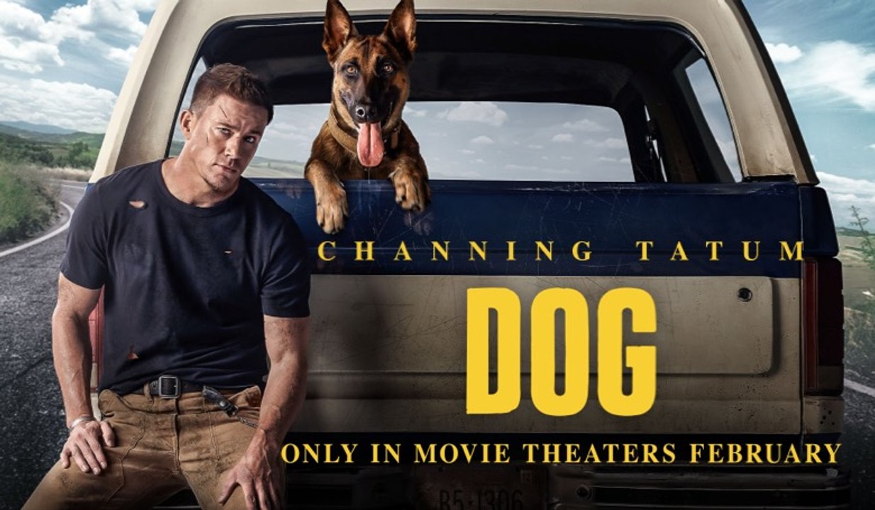 Dog Trailer