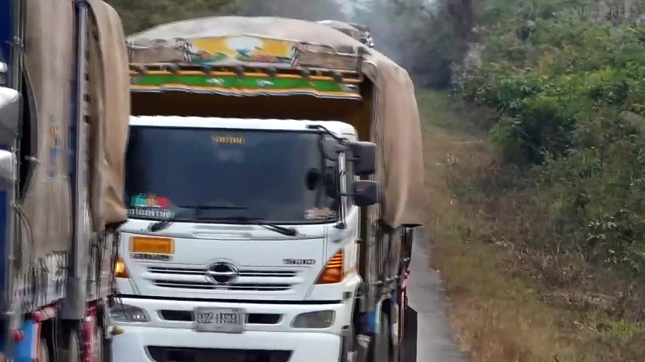 Sugar Cane give by trucks Elephant