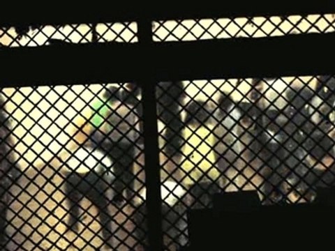 Stephen Malkmus | We can't help you | A Take Away Show