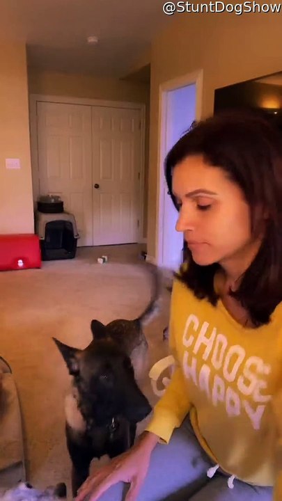 Dog's Over Excited Dance Routine With Bite