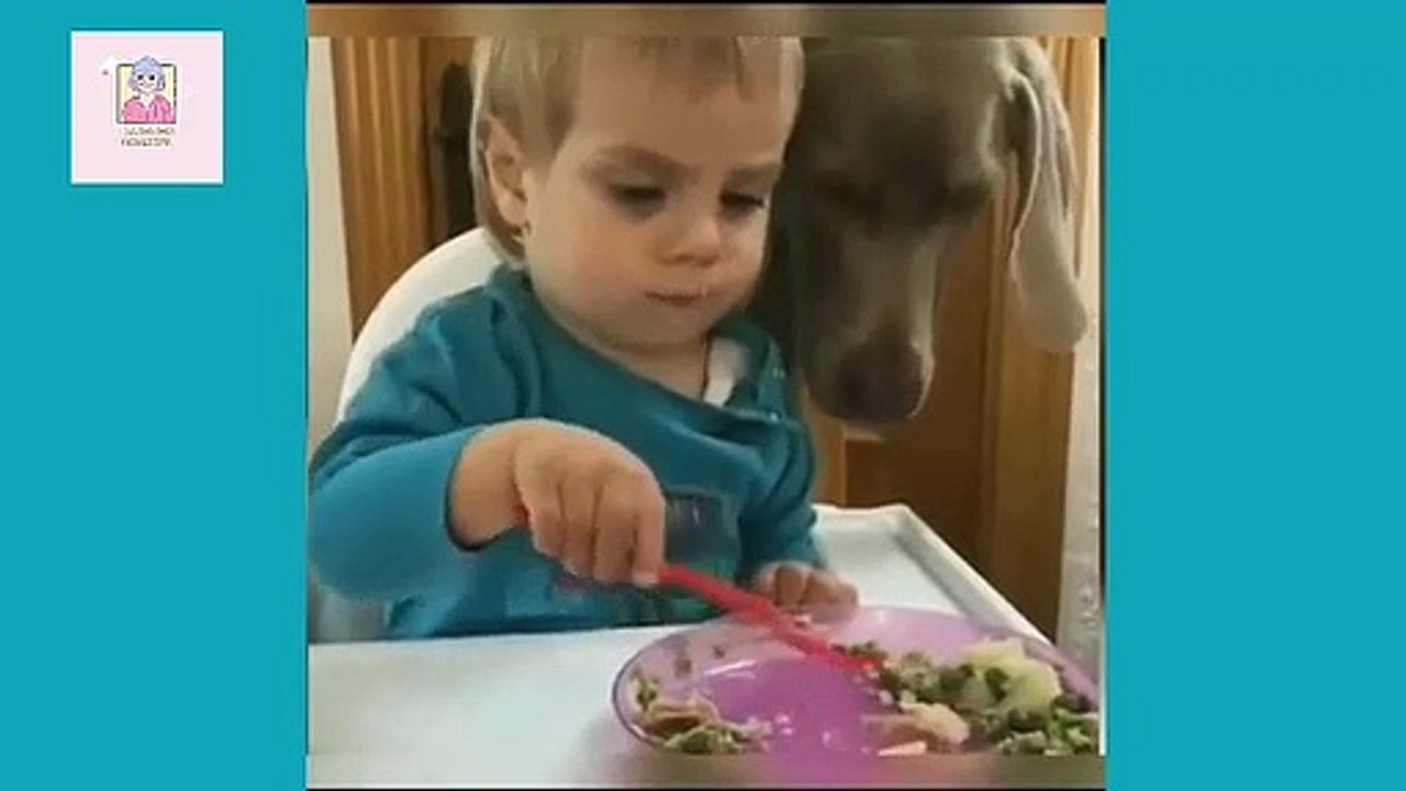 Video lucu hewan// Funny Moments
