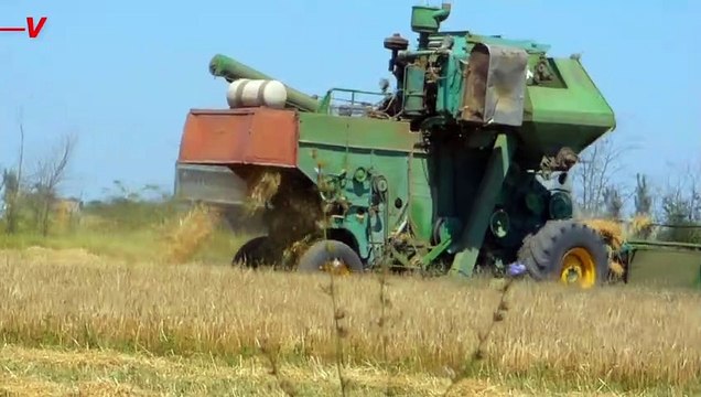 Fertilizer Shortage Has North Korea Encouraging Citizens to Make Manure Out of Their Own Poop