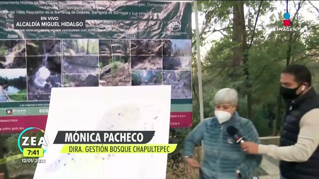 Rehabilitan las barrancas Dolores y Barrilaco en el Bosque de Chapultepec