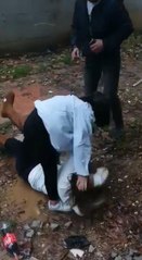 LİSELİ KIZLARIN KAVGASI KAMERADA