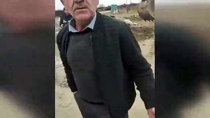 AKP'li Belediye iş makinesiyle sokak köpeklerini gömerken yakalandı