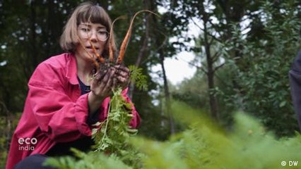 Permaculture: Back to the cycle of nature