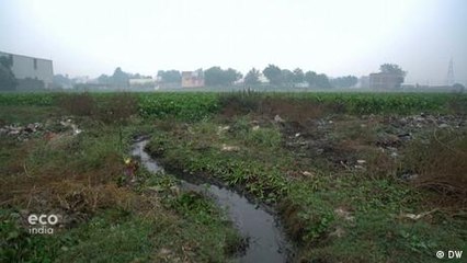 Ponds - help for Delhi’s thirsty population