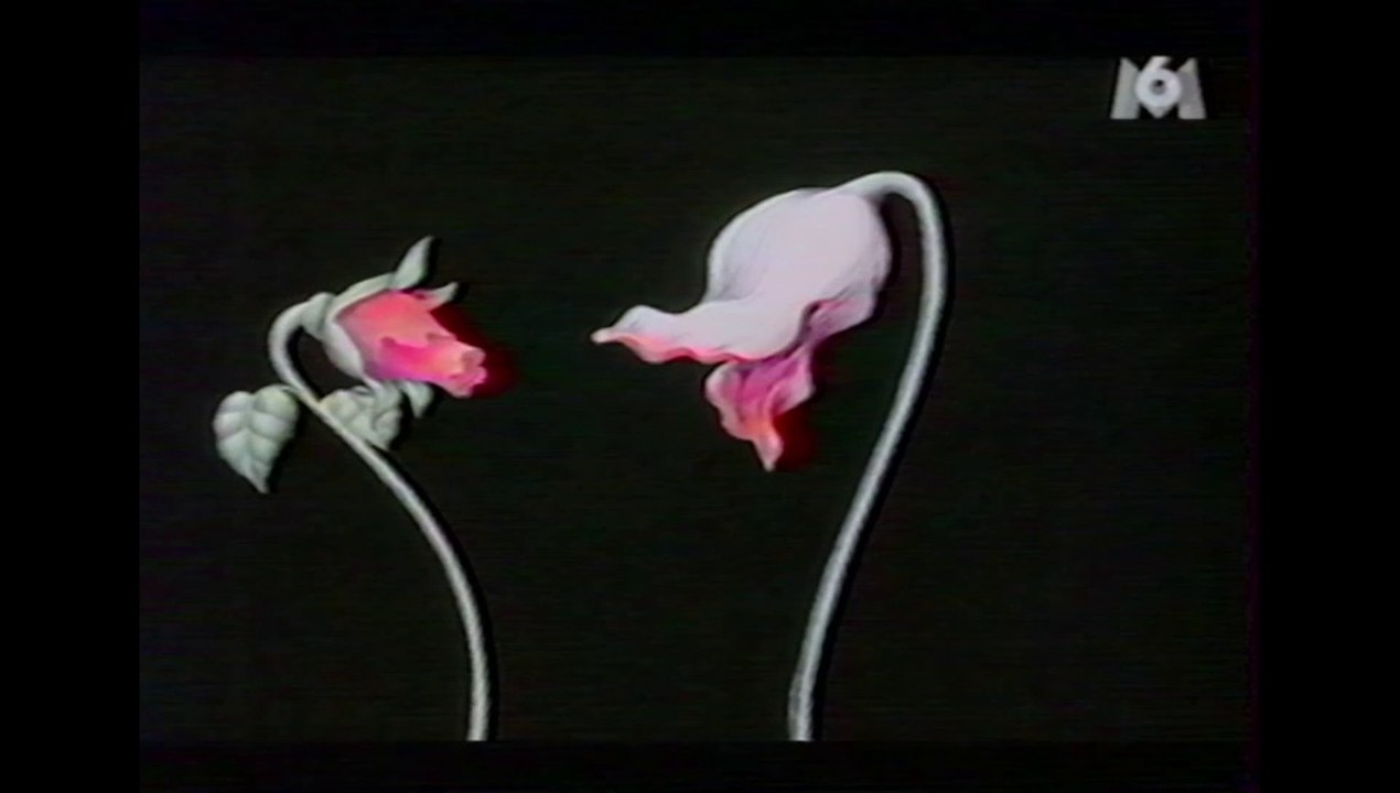 Pink Floyd : Behind the Wall Doc FR