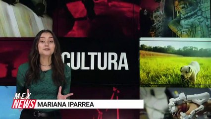 AMAZON PRETENDE REVOLUCIONAR LA INDUSTRIA TECNOLÓGICA ESTE AÑO