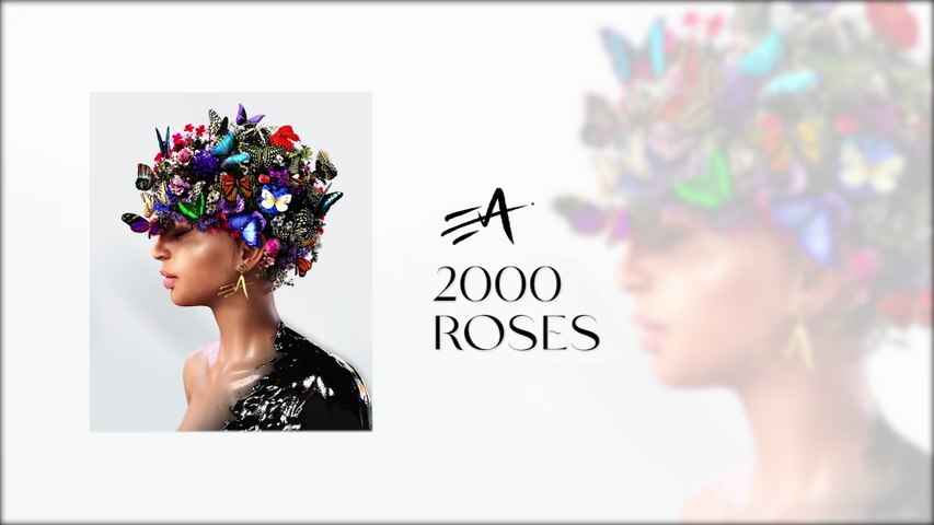 Eva - 2000 Roses
