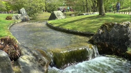Gönül Akın / Kaçsam bırakıp senden uzak yollara gitsem