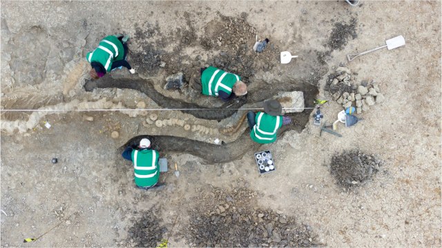 Un immense fossile d'ichtyosaure découvert au Royaume-Uni