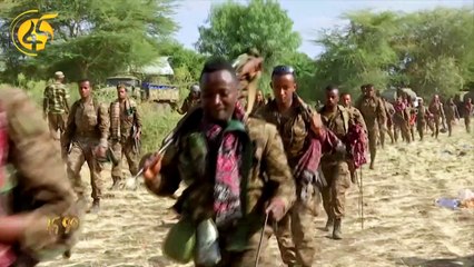 Bloqueio na região etíope do Tigré é um 'insulto à humanidade'